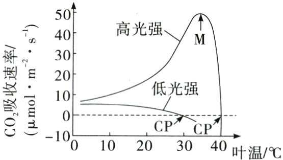 CPCP010203040叶温