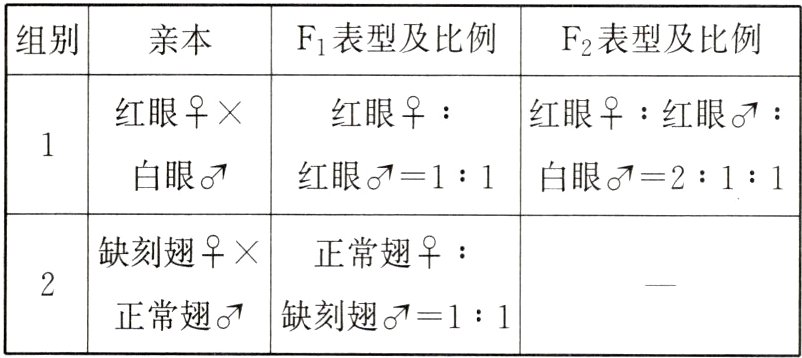 正常翅缺刻翅11