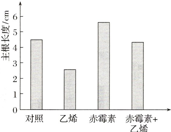 对照乙烯赤霉素赤霉素乙烯