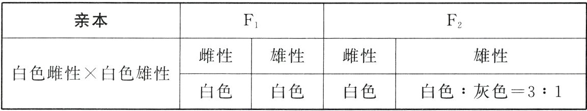 白色白色白色灰色31白色