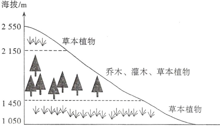 1450《《《k沁《《草本植物1050