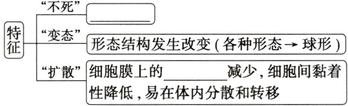 性降低易在体内分散和转移