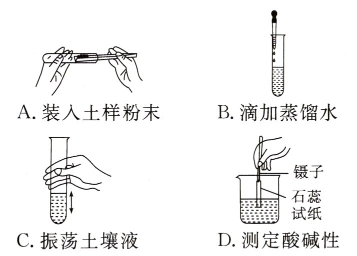 D测定酸碱性C振荡土壤液