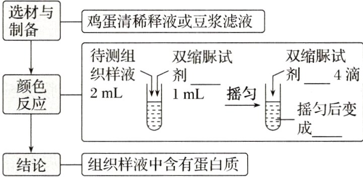 结论组织样液中含有蛋白质