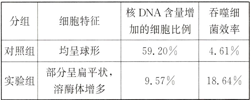 9571864实验组溶酶体增多