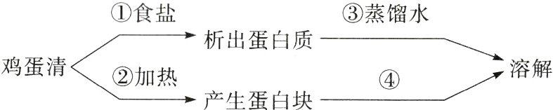 鸡蛋清加热溶解产生蛋白块