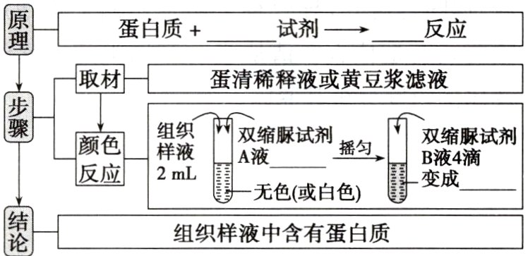 组织样液中含有蛋白质