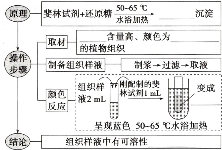 结论组织样液中有可溶性