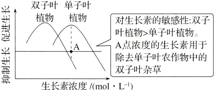 双子叶杂草生长素浓度molL