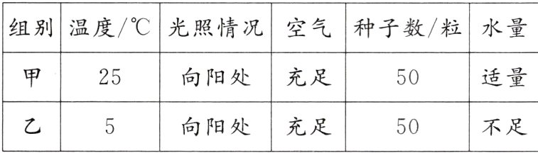 不足向阳处充足50