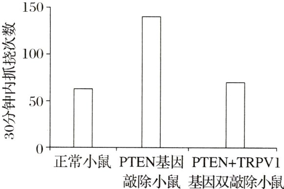 0正常小鼠PTEN基因PTENTRPV11敲除小鼠基因双敲除小鼠