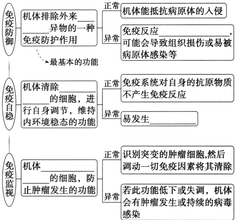 会有肿瘤发生或持续的病毒感染