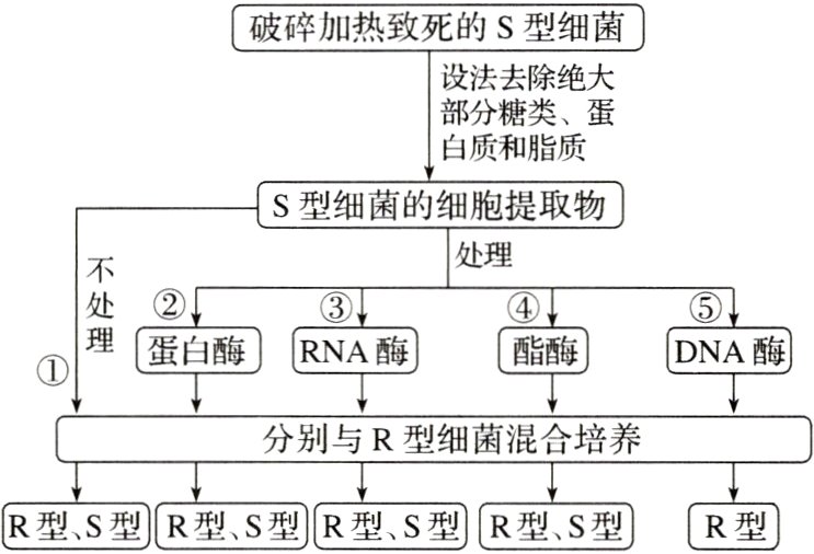 R型S型R型S型R型S型R型S型R型