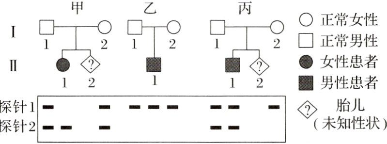 未性状二二探针2