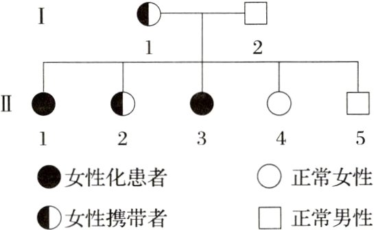 D女性携带者口正常男性