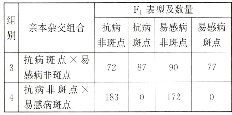 172183易感病斑点