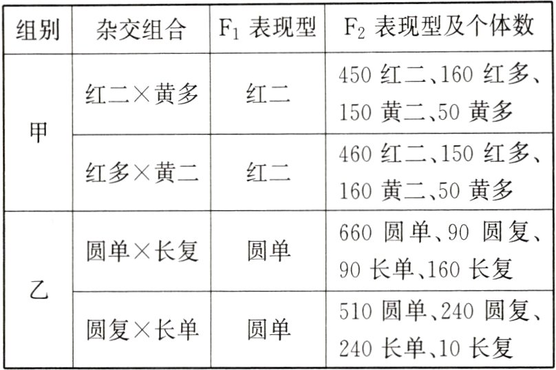 圆复长单圆单240长单10长复