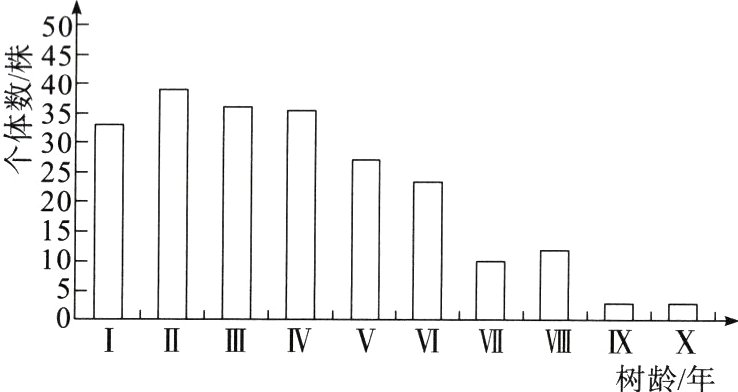 IIIIIIVVVVIVIXX树龄年