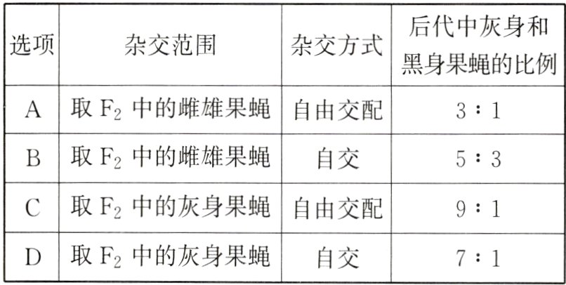 取F2中的灰身果蝇自交71