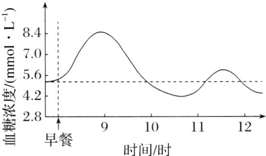 101112血早餐时间时