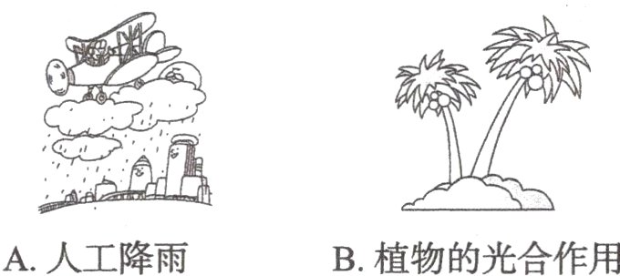 A人工降雨B植物的光合作用