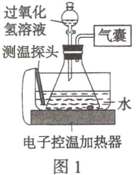 电子控温加热器图1
