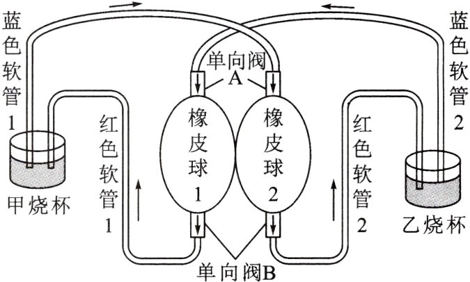 2乙烧杯单向阀B