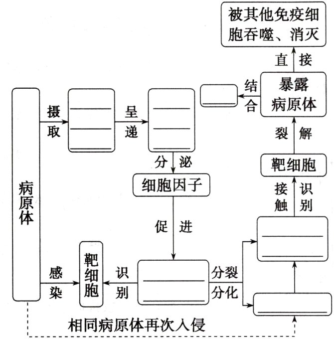 相同病原体再次入侵