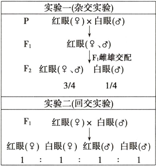 红眼白眼红眼白眼1111