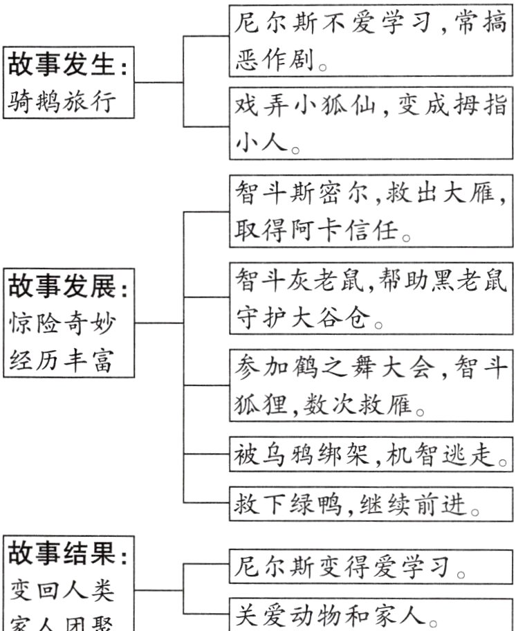 变回人类关爱动物和家人家人团聚