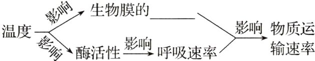 影响物质运温度酶活性影响呼吸速率输速率