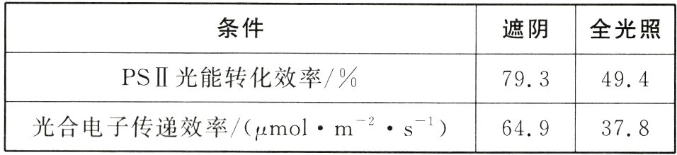 光合电子传递效率molms1649378