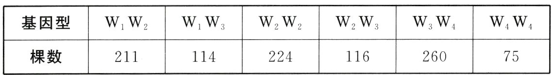 棵数26021111422411675