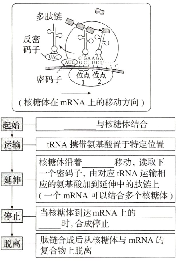脱离复合物上脱离