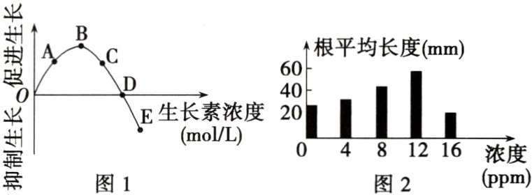 0481216浓度ppm图1图2