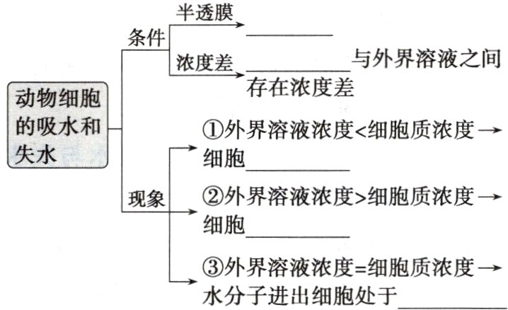 外界溶液浓度细胞质浓度水分子进出细胞处于