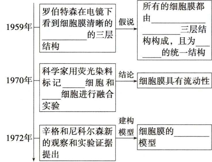 模型的观察和实验证据提出