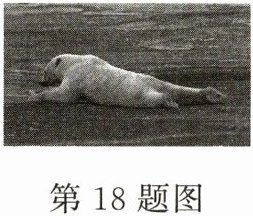 第18题图