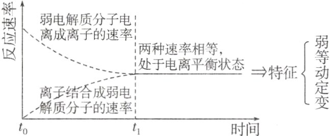 解质分子的速率to时间t1
