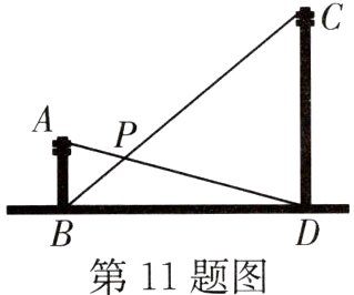 第11题图