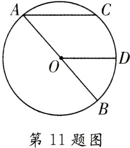 第11题图
