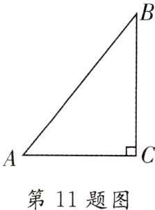 第11题图