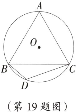 第19题图
