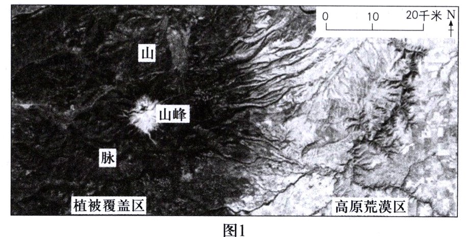 0高原荒漠区植被覆盖区图1