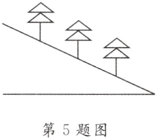 第5题图