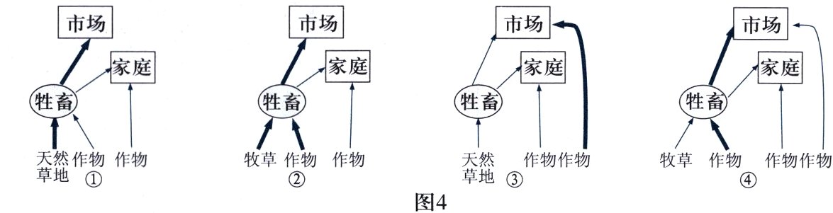 天然作物作物套作物作物牧草作物牧草作物图4