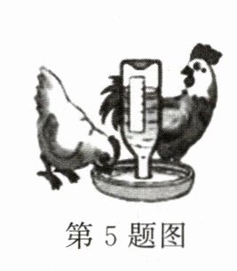 第5题图