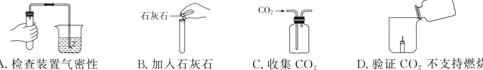 D验证CO₂不支持燃烧A检查装置气密性B加入石灰石C收集CO₂