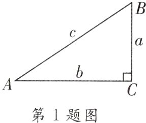 第1题图