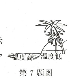 第7题图